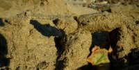 Sand bridge after partial collapse